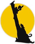 coon hound treeing coon vinyl decal