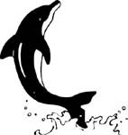 dolphin graphic decal