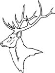 elk vinyl sticker