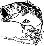 fish image vinyl decal
