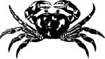 crab image vinyl decal