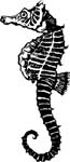 seahorse vinyl decal graphic