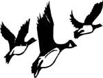 mallard ducks flyin image decal