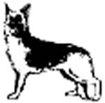 shepard dog vinyl decal