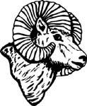 ram decal