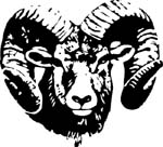 ram decal