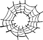 spiderweb decal