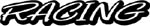 racing vinyl  lettering