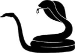 snake graphic decal