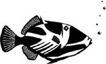 salt water fish graphic sticker