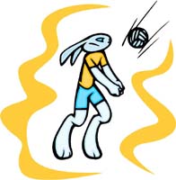 BUNNY_013