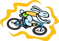BUNNY_056