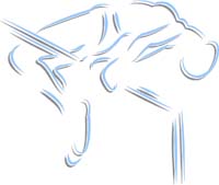 TRACK_FIELD_2C_02