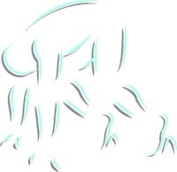 TRACK_FIELD_2C_12