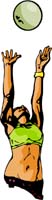 sports-MISC_6C_12