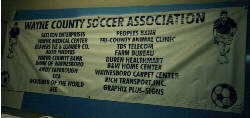 custom 4'x10' banner