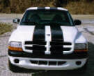 racing stripes