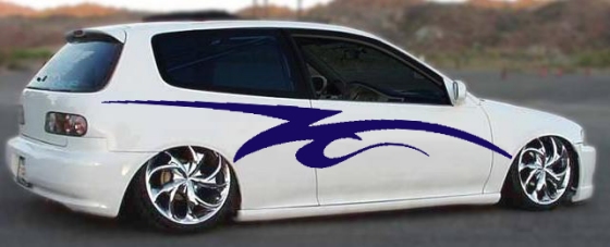 vinyl graphics