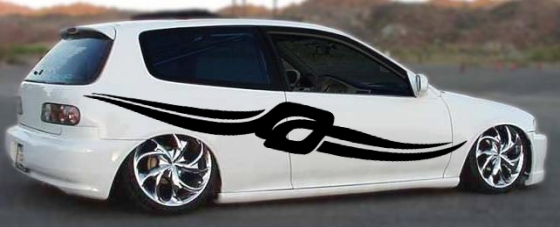 vinyl striping