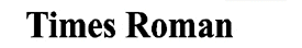 Times New Roman Bold font