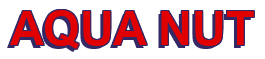 Rendering "AQUA NUT" using Arial Bold