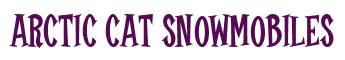 Rendering "ARCTIC CAT SNOWMOBILES" using Cooper Latin