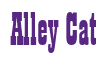 Rendering "Alley Cat" using Bill Board