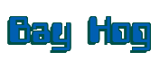 Rendering "Bay Hog" using Computer Font