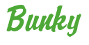 Rendering "Bunky" using Brisk