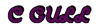 Rendering "C GULL" using Anaconda