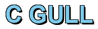 Rendering "C GULL" using Arial Bold