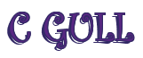 Rendering "C GULL" using Curlz