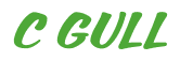 Rendering "C GULL" using Casual Script