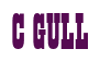 Rendering "C GULL" using Bill Board