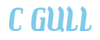 Rendering "C GULL" using Color Bar