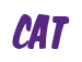 Rendering "CAT" using Big Nib