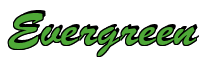 Rendering "Evergreen" using Brush Script