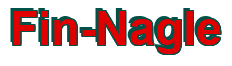 Rendering "Fin-Nagle" using Arial Bold