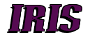 Rendering "Iris" using Arn Prior