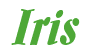 Rendering "Iris" using Aloe
