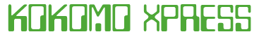 Rendering "KOKOMO XPRESS" using Checkbook