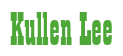 Rendering "Kullen Lee" using Bill Board
