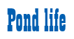 Rendering "Pond life" using Bill Board