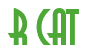 Rendering "R CAT" using Asia