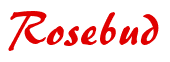 Rendering "Rosebud" using Brush