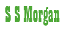 Rendering "S S Morgan" using Bill Board