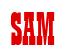 Rendering "SAM" using Bill Board