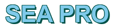 Rendering "SEA PRO" using Arial Bold