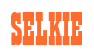 Rendering "SELKIE" using Bill Board