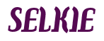 Rendering "SELKIE" using Color Bar